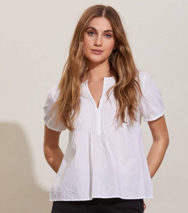 Nikkosstump.shop1696b99fb6 1