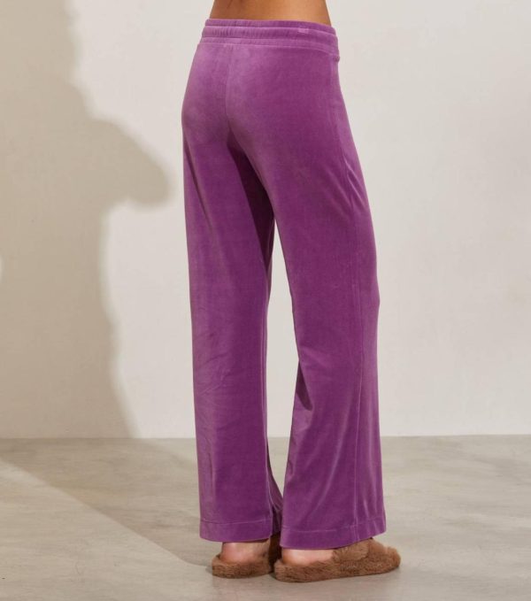 Nikkosstump.shop225f70c14b 3