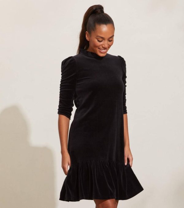 Nikkosstump.shop3f0c27fad3 2