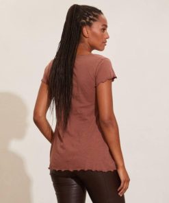 Nikkosstump.shop50990c2353 4