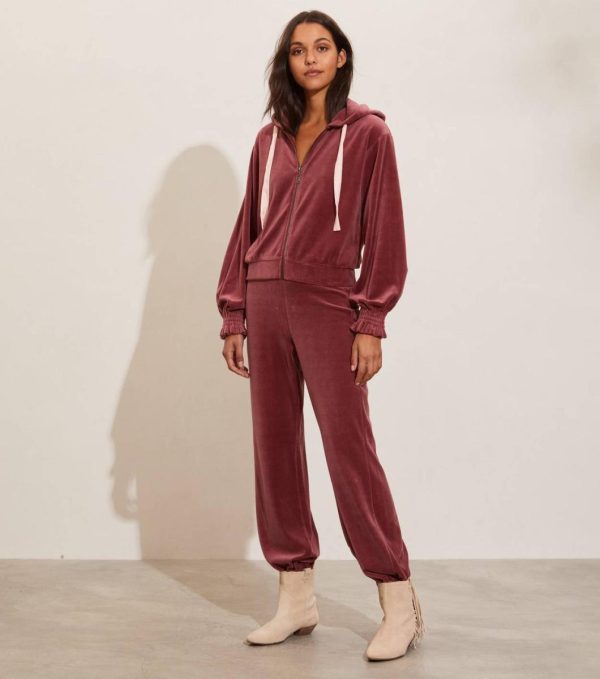 Nikkosstump.shop5712d7a9df 5