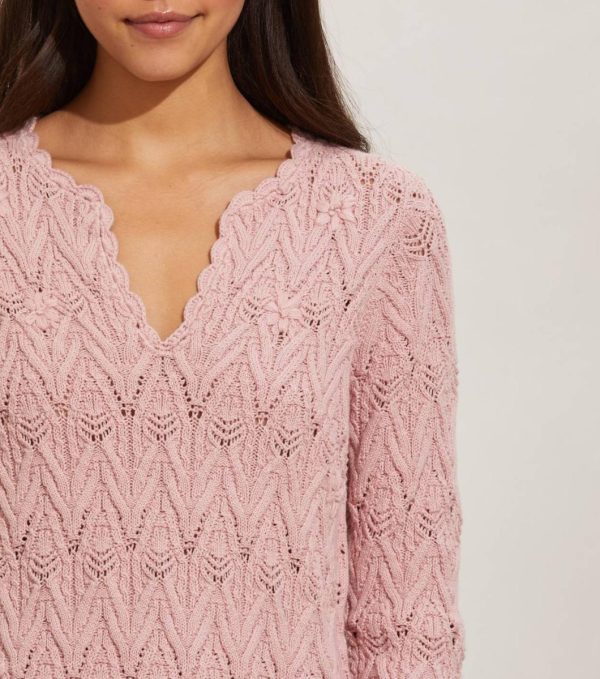 Nikkosstump.shop5bf3b92883 3