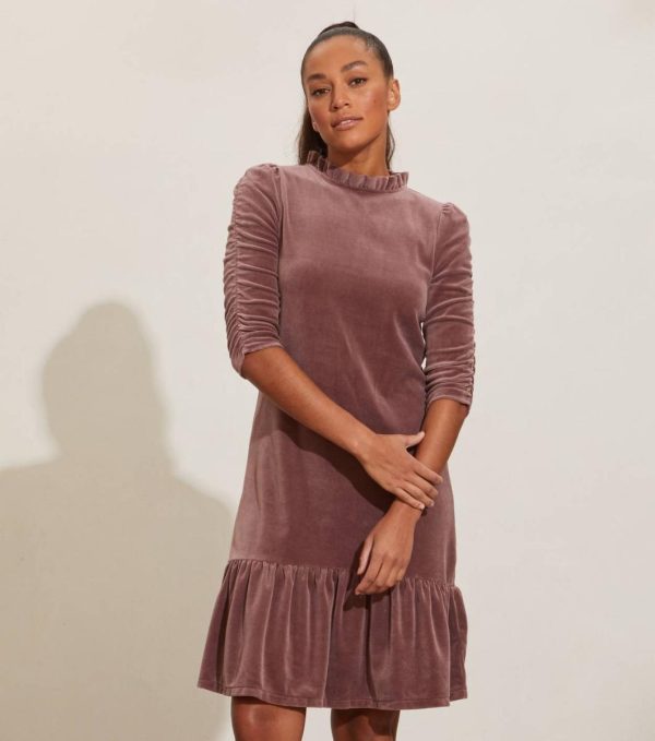 Nikkosstump.shop653c08d470 5