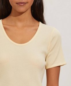 Nikkosstump.shop65cc4b37ef 1