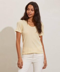 Nikkosstump.shop65cc4b37ef 4