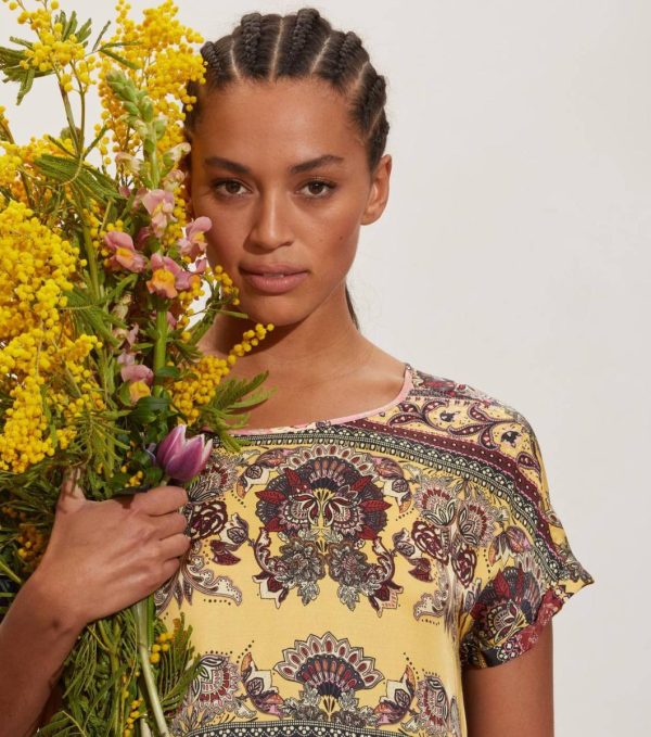 Nikkosstump.shop667433b1e8 1