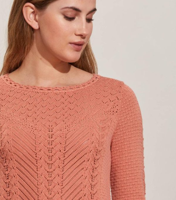 Nikkosstump.shop7a3d04db45 3