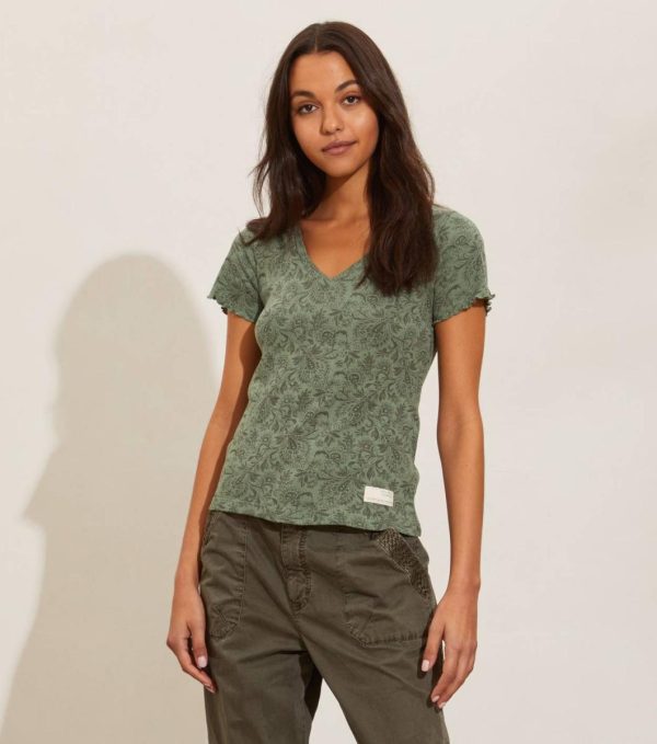 Nikkosstump.shop8c27224978 1