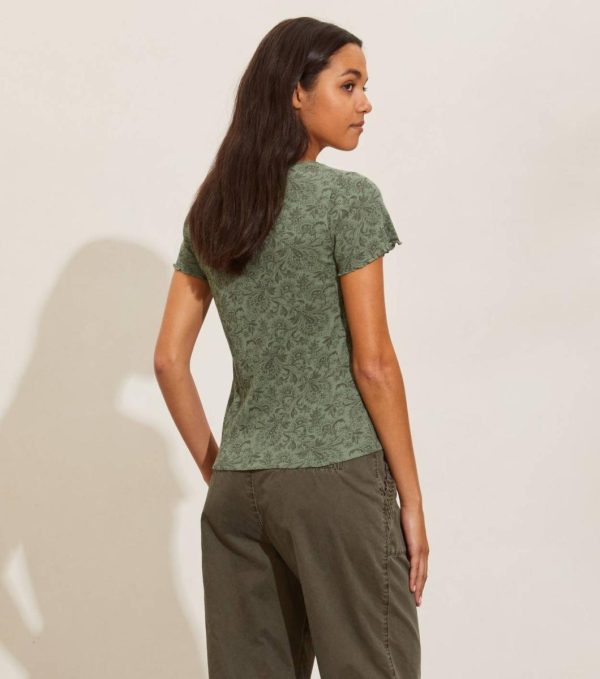 Nikkosstump.shop8c27224978 4