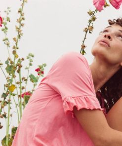 Nikkosstump.shop8ed2a7dd03 2