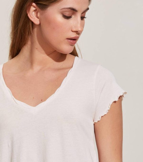 Nikkosstump.shop95af457ecb 3