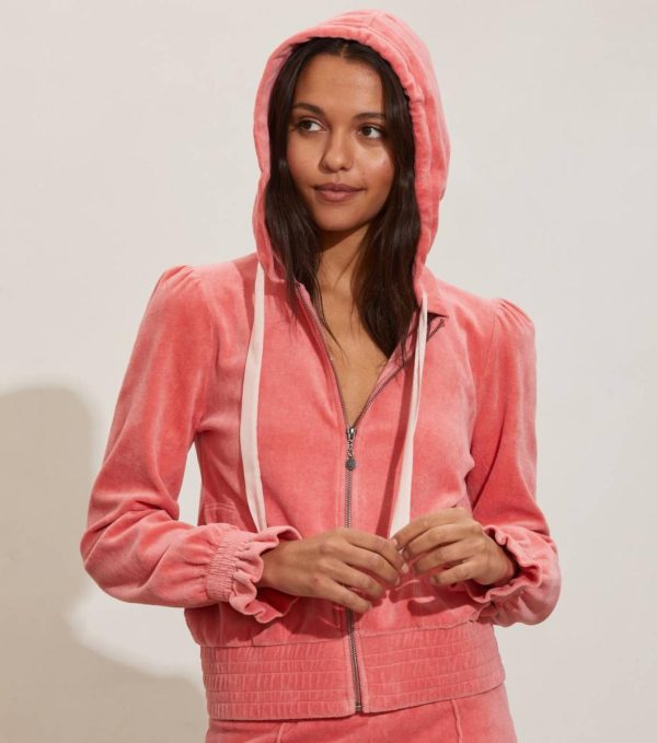 Nikkosstump.shop9d8d05591f 1