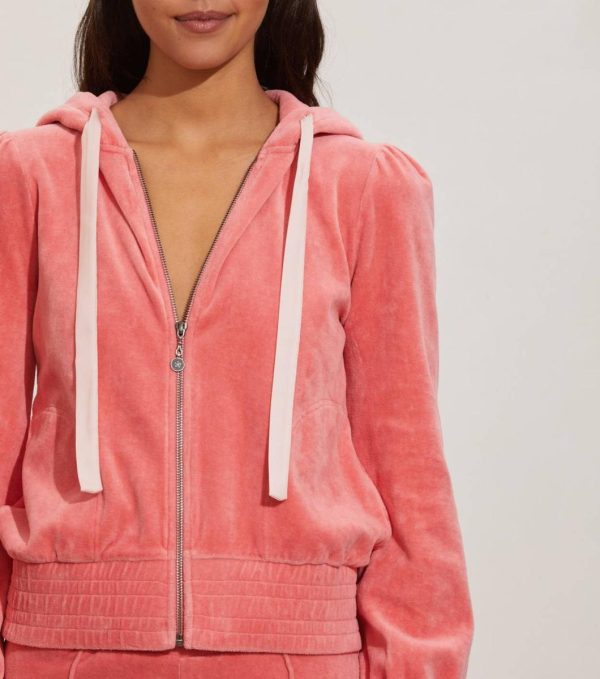 Nikkosstump.shop9d8d05591f 3