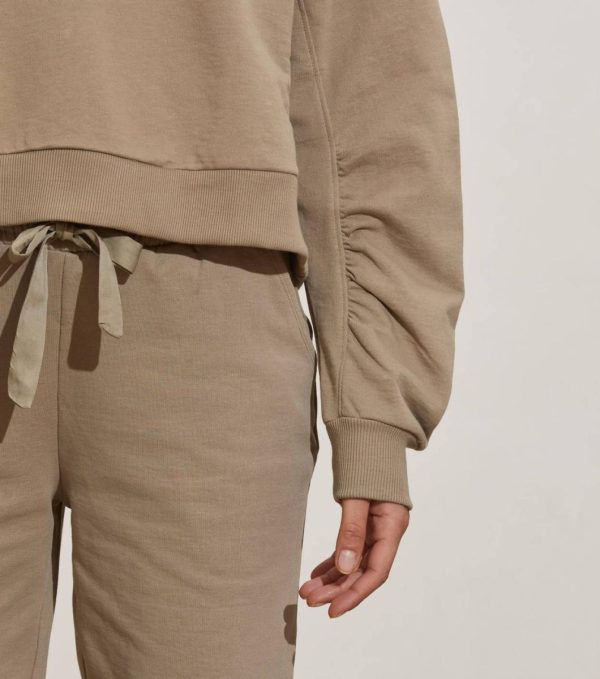 Nikkosstump.shop9f8b9d1364 2