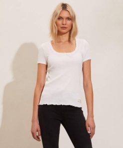 Nikkosstump.shopa263790a11 1