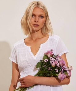 Nikkosstump.shopa31e94833c 1