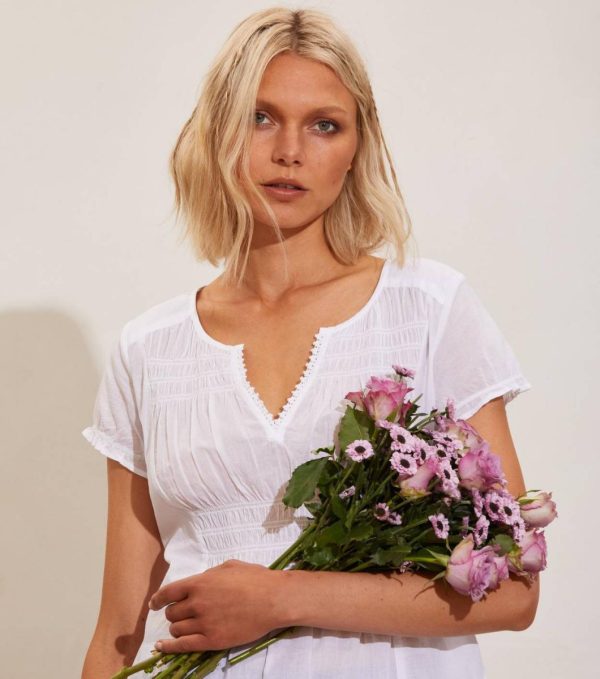 Nikkosstump.shopa31e94833c 1