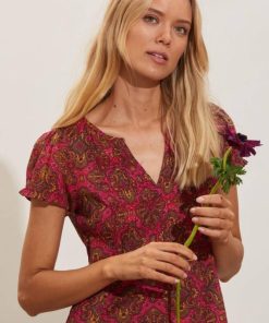 Nikkosstump.shopac2db7b813 2