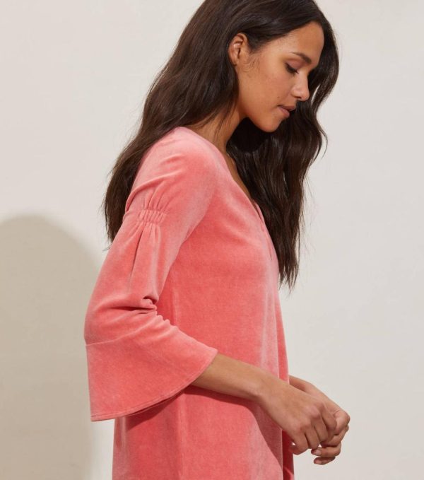 Nikkosstump.shopb005a5930b 2