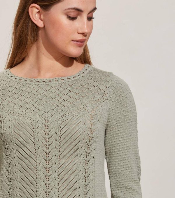 Nikkosstump.shopbb8a8d5d81 3