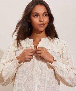 Nikkosstump.shopd914fdf4c3 1