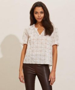 Nikkosstump.shope17800e20a 1