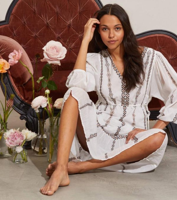 Nikkosstump.shope2d39fbdd5 1