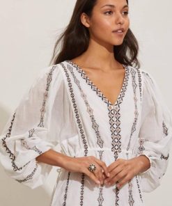 Nikkosstump.shope2d39fbdd5 3