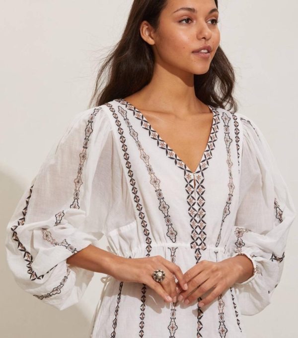 Nikkosstump.shope2d39fbdd5 3