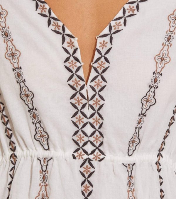 Nikkosstump.shope2d39fbdd5 4