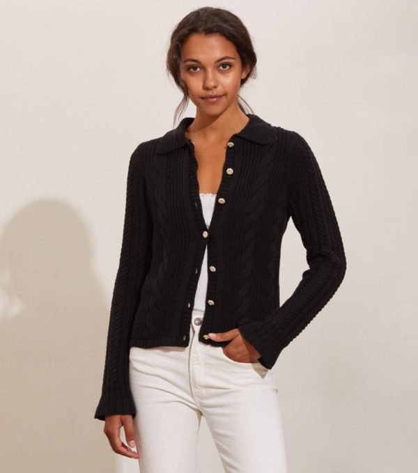 Nikkosstump.shope3f4775acd 1