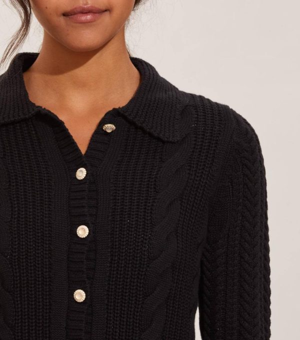 Nikkosstump.shope3f4775acd 2