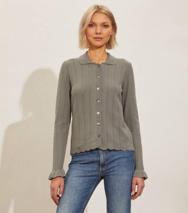 Nikkosstump.shope52343c3c7 1