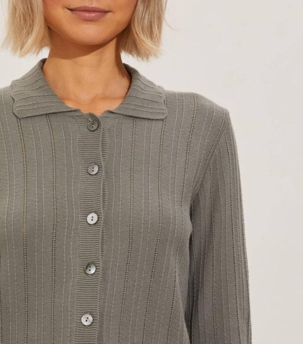 Nikkosstump.shope52343c3c7 2