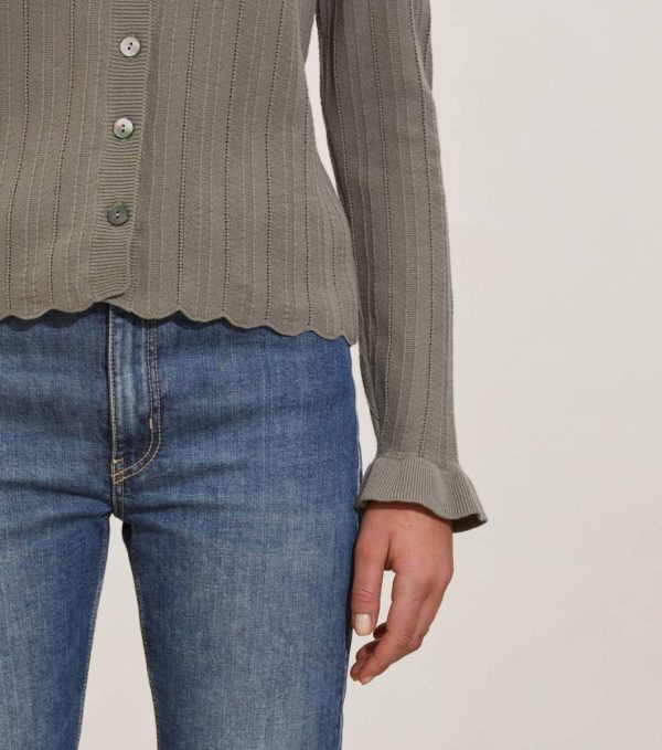 Nikkosstump.shope52343c3c7 3