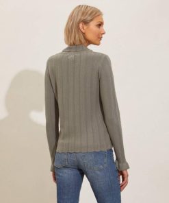 Nikkosstump.shope52343c3c7 4