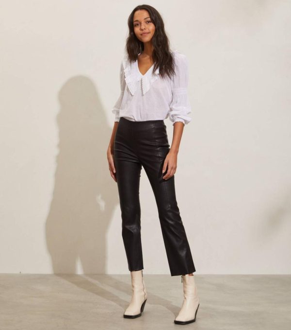 Nikkosstump.shope5c53ae177 1