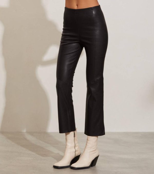 Nikkosstump.shope5c53ae177 3