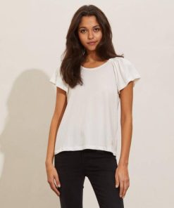 Nikkosstump.shope6f99c62f1 2